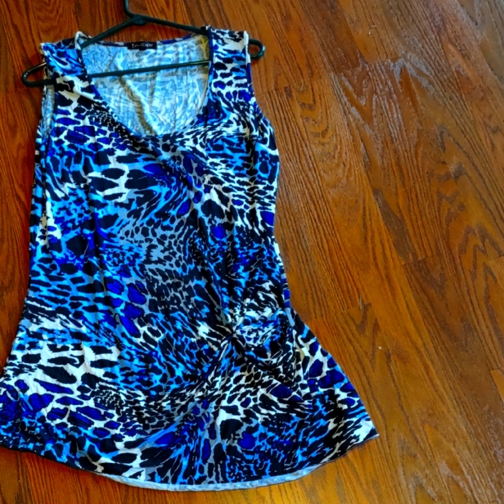 Blue Leopard Print Women's Top